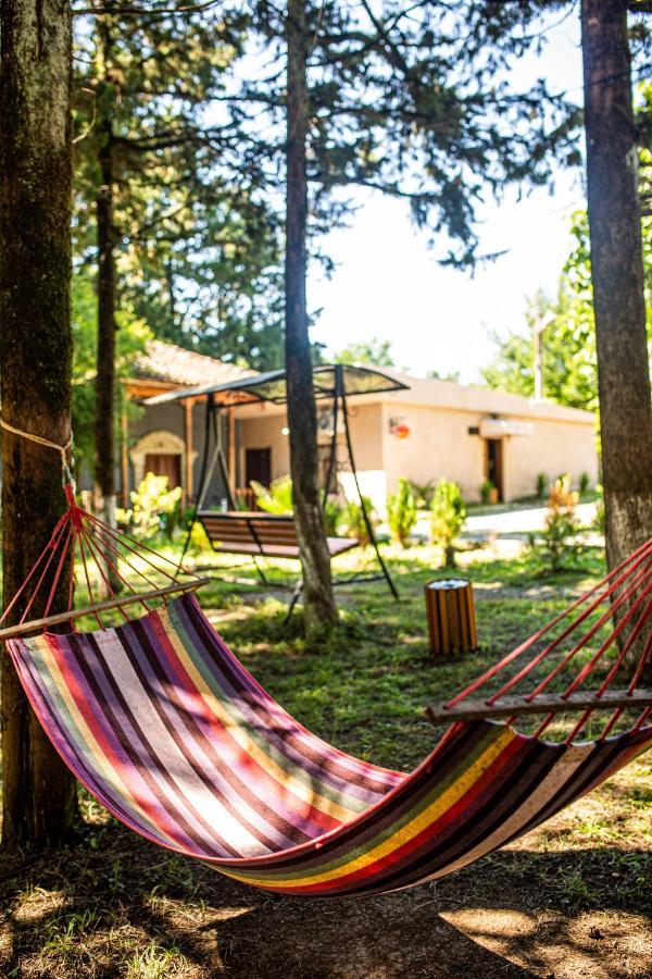 Hébergement de vacances Eco Koutaïssi