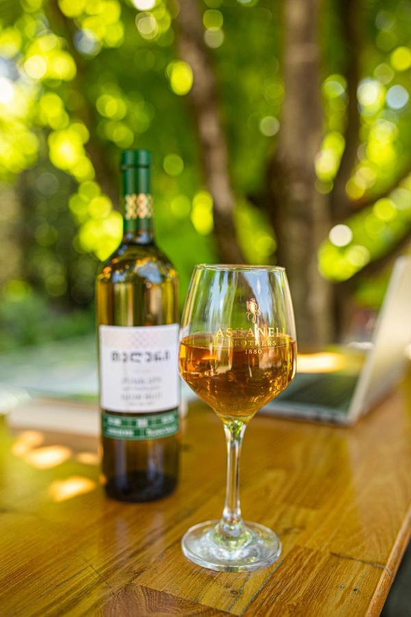Eco Holiday home Kutaisi
