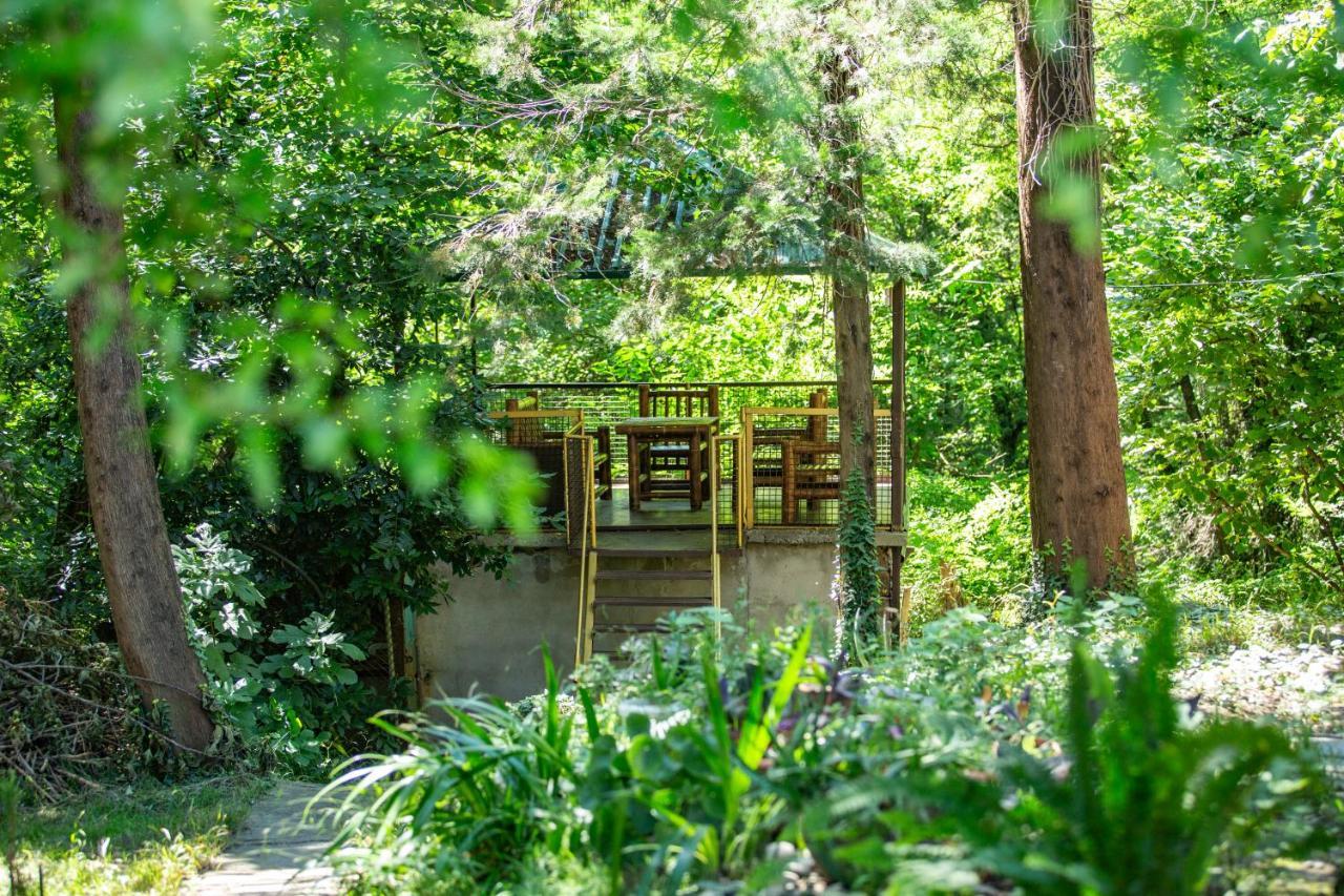 Eco Holiday home *
