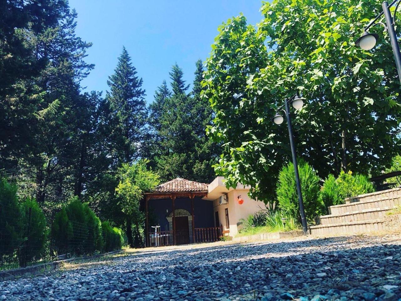 Eco Hébergement de vacances Koutaïssi